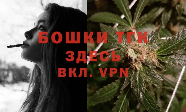 дмт Гусев