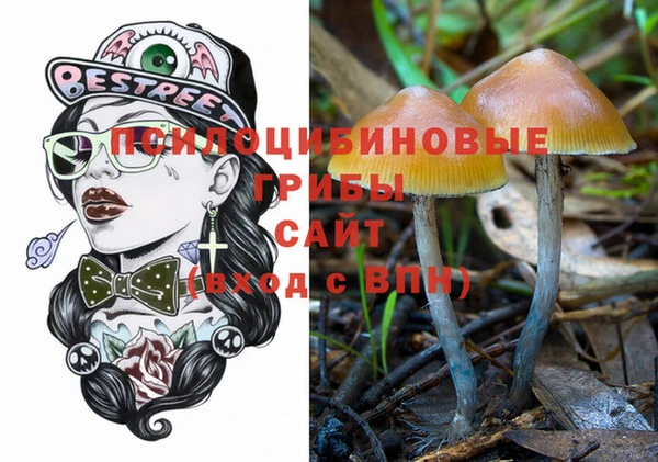спайс Алзамай
