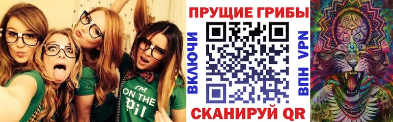 Галлюциногенные грибы MAGIC MUSHROOMS  закладки  Тетюши 