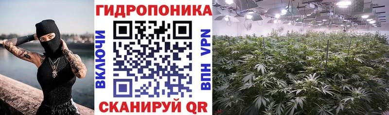 Шишки марихуана семена  где купить наркоту  Тетюши 